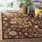 Carolane Performance Floral Rug-21588009