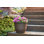 Jardinière 8 po Cronus, charbon chaud