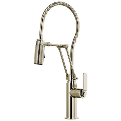 Litze® Pull Down Single Handle Kitchen Faucet with MagneDock® Technology and with Accessories