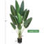 Fausse feuille de bananier en pot-686633105