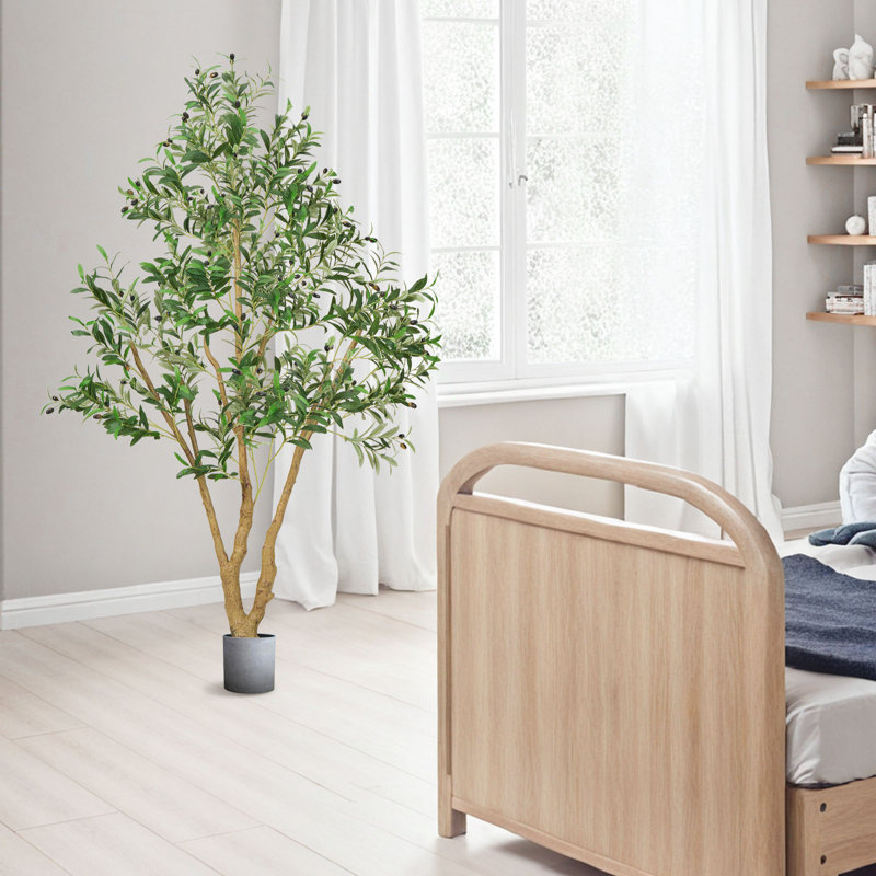 Faux Olive Tree Tree in Pot, 182.9cm H x 110cm W x 80cm D