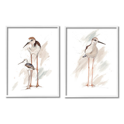 Bécasseau, famille d'oiseaux, plage ensoleillée, Patricia Pinto