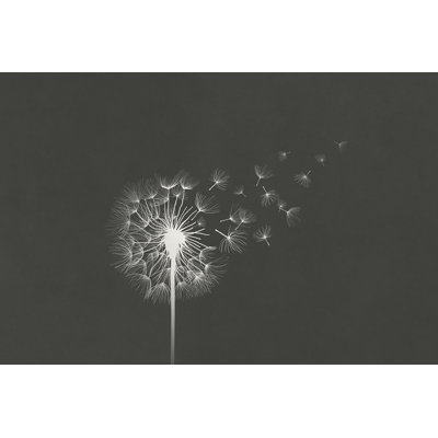 Lorens - Pissenlit blanc - impression sur toile tendue