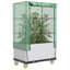 Ceyda Raised Garden Bed-576771451-576771449