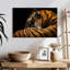 Tigre majestueux Brampt-108691970