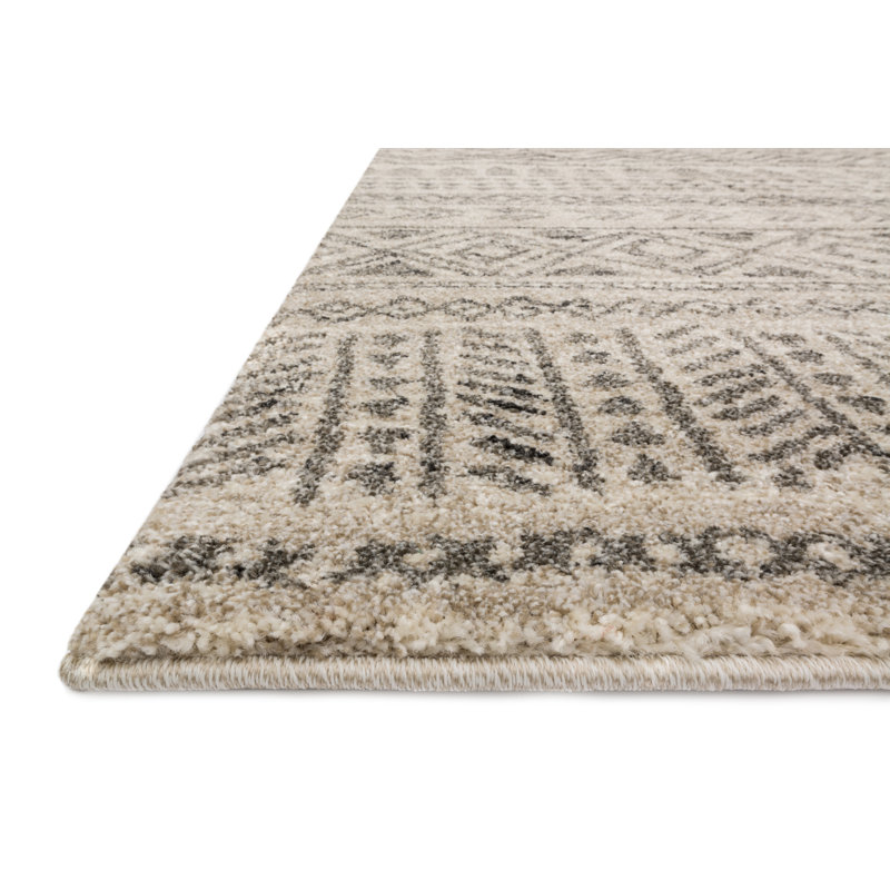 Aparicio Southwestern Indoor Rug, Rectangle 5'3" x 7'7"