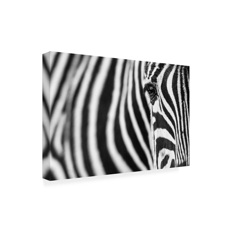 «Zebra Stripes» par Richard Guijt - reproduction d'art sur toile tendue, H 30 po x l 47 po x P 2 po