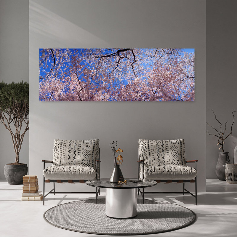Low angle view of cherry blossom trees Washington State USA 1 Piece Wrapped Canvas Panoramic Wall Art, 50.8 cm H x 152.4 cm W
