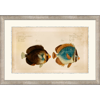 Horizontal Chatodon 2 Print