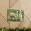 Wall Art on Canvas