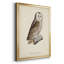 French Owls V, impression sur papier encadrée-1310601185-1310601184