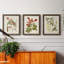 «Vintage Flowering Trees V», ensemble de 3 cadres photo sur toile-323789573-323789574