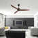 Antinisha 52" Solid Wood 3-Blade Propeller Ceiling Fan with Remote