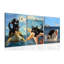3 Piece Wrapped Canvas Wall Art