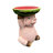 Resin Pig-Shaped Side Table