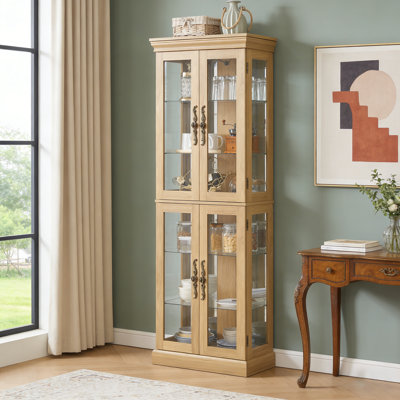 Glass antique display case with light and adjustable divider by Alcott Hill
