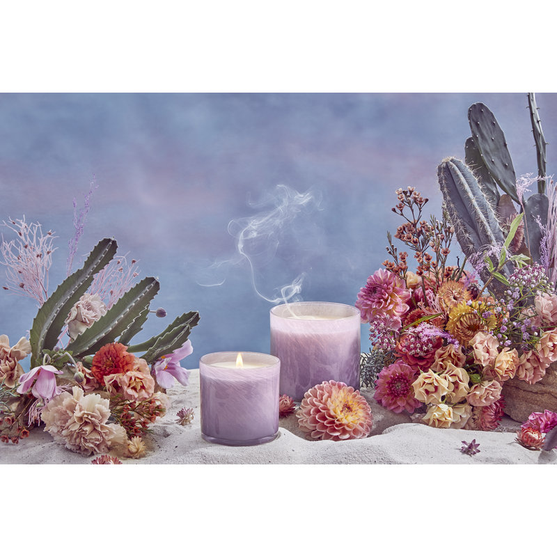 Midnight Cactus Classic Candle, 6.5 oz Jar