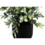 10.72 " H Faux Plant