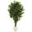 72'' Faux Ficus Tree in Ceramic Planter