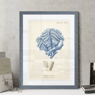 « corail antique en bleu marine ii » par paul cezanne-image-cadre, reproduction d’art sur papier