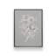 «Gray Botanical Set II» par Cindy Jacobs, reproduction d'art-689952125-689952127-689952099