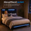 Upholstered Bed-55056311