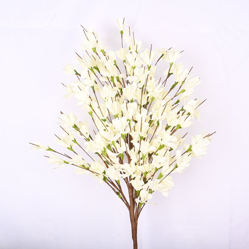 Faux forsythia, arrangement de fleurs, Blanc