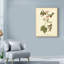 « anna hummingbird », reproduction de peinture à l’huile sur toile tendue-33523066