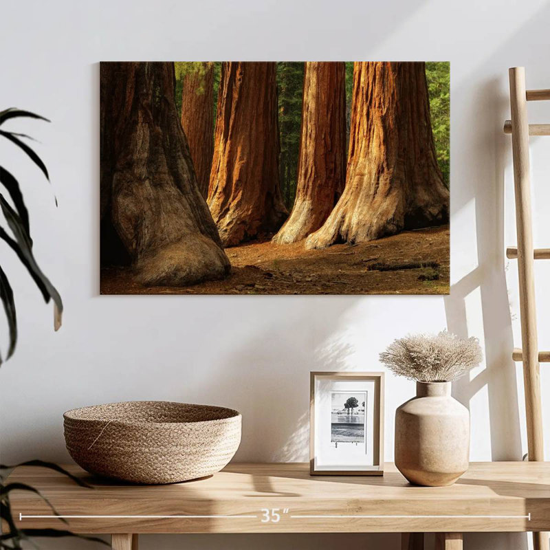 Harnek Ancient Sequoia Trees, 16" H x 24" W