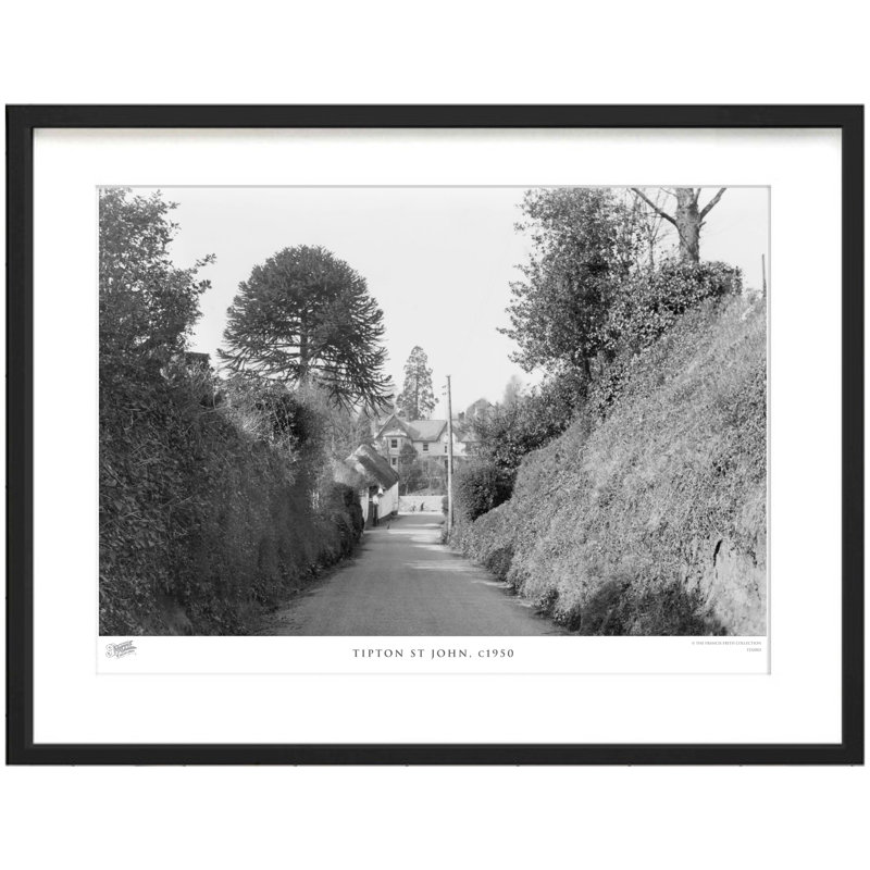 Tipton St John, C1950 by Francis Frith - Single Picture Frame Print, 40cm H x 50cm W x 2.3cm D