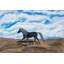 " Solocoal " by France Gilbert-21786746