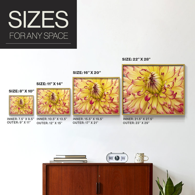 Blooms II -Framed Print - Restickable, 16" H x 20" W