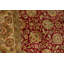 Wool Oriental Area Rug