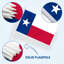 Ensemble de drapeaux en polyester 5 x 8 po Texas State