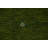 Handmade Green Gabbeh Area Rug 5x8
