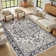 Machine Washable Non-Slip Oriental Black/Beige/Gray Area Rug