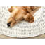 Tapis rond 5 x 5 Neutre