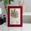 Cactus antique III, impression sur papier-881012499-881012492