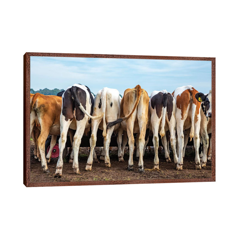 Buttocks And Tails by Clara Bastian - Print on Canvas, Classic Brown Wood Framed, 45.72cm H x 66.04cm W x 3.81cm D