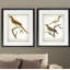 «Vintage Aviaire, croquis XIXe», ensemble de 2 reproductions de peintures à l'acrylique encadrées-28785957