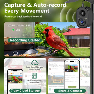  X Richbird Smart Bird Camera With Solar Panel And 63" Decorative Mounting Pole - Black