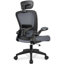 Fauteuil ergonomique avec appui-tête et coussin lombaire-831587964-831587907