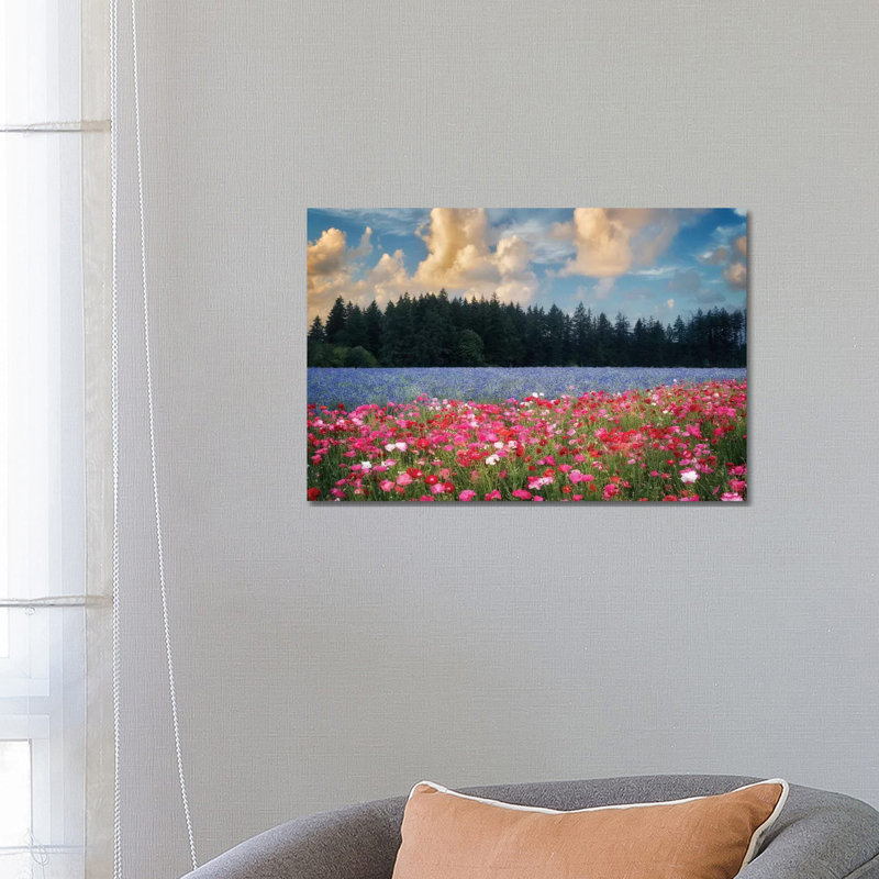 Flower Field Sunrise I by Dennis Frates - Print on Canvas, Wrapped Canvas, 45.72cm H x 66.04cm W x 3.81cm D
