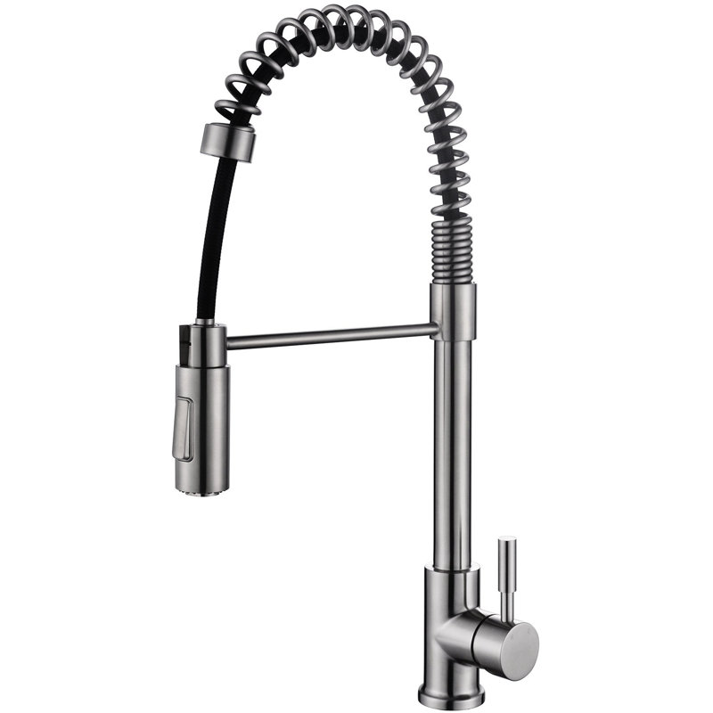RAEN Orchid Pull Out Kitchen Faucet