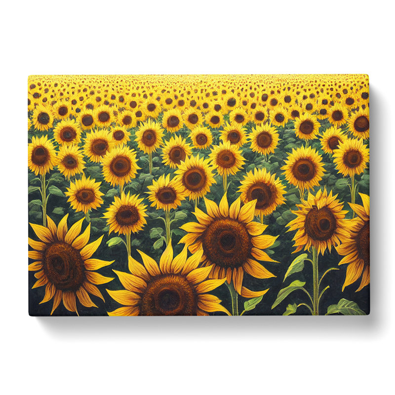 Dashing Sunflower Field - Wrapped Canvas, 50cm H x 76cm W x 3cm D