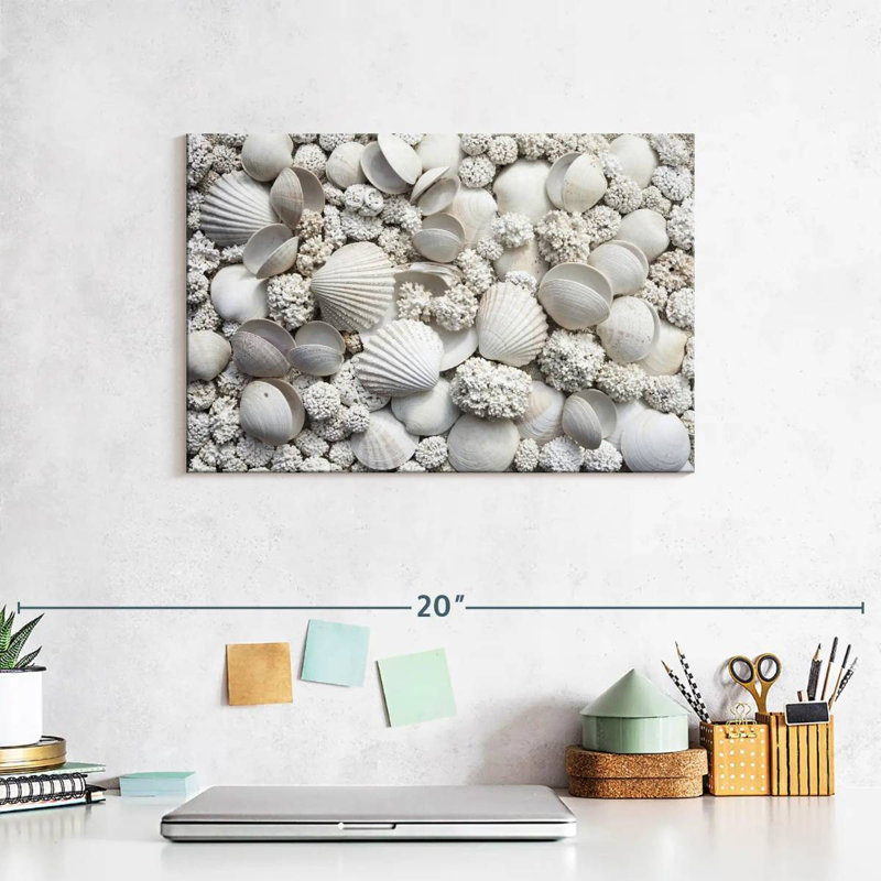 Aletra White Seashells, 8" H x 12" W