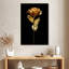 Doré, rose-711798577
