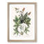 Green Lizard by Mark Catesby - Picture Frame Painting Print-55736235-55736239