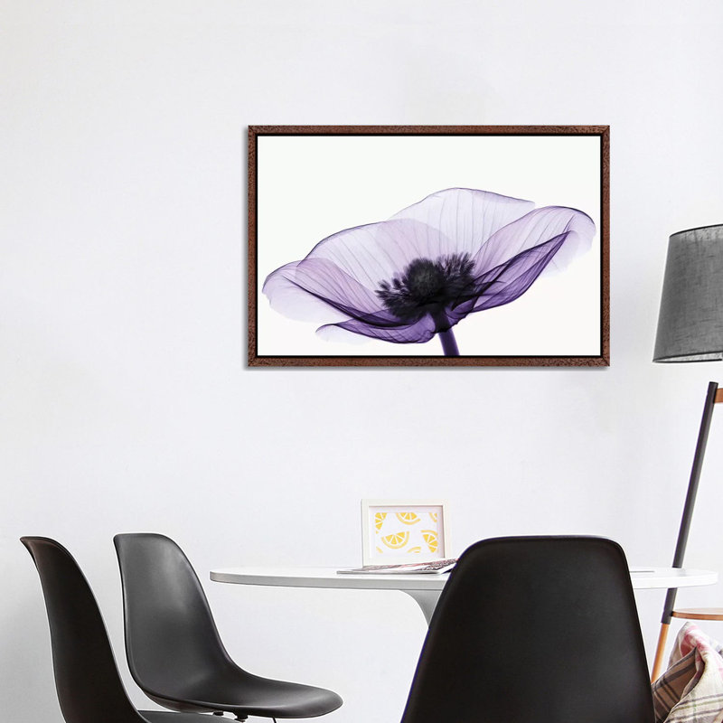 Anemone II - Print on Canvas, 66.04 cm H x 45.72 cm W x 4.445 cm D, Classic Wood Framed