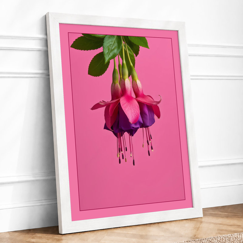 Fuchsia Blooms Botanical - Framed Print, A2 - 59.4 x 42.0 cm, White